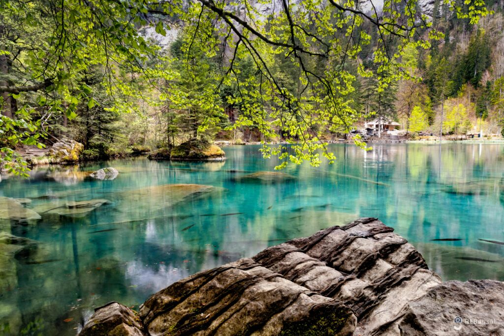 Explore the serene beauty of Blausee Lake with clear waters and lush forest scenery.